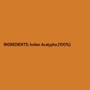 killi-kuppaimeni-indian-acalypha-indian--6.jpg
