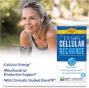country-life-cellular-recharge-b-vitamin-5.jpg