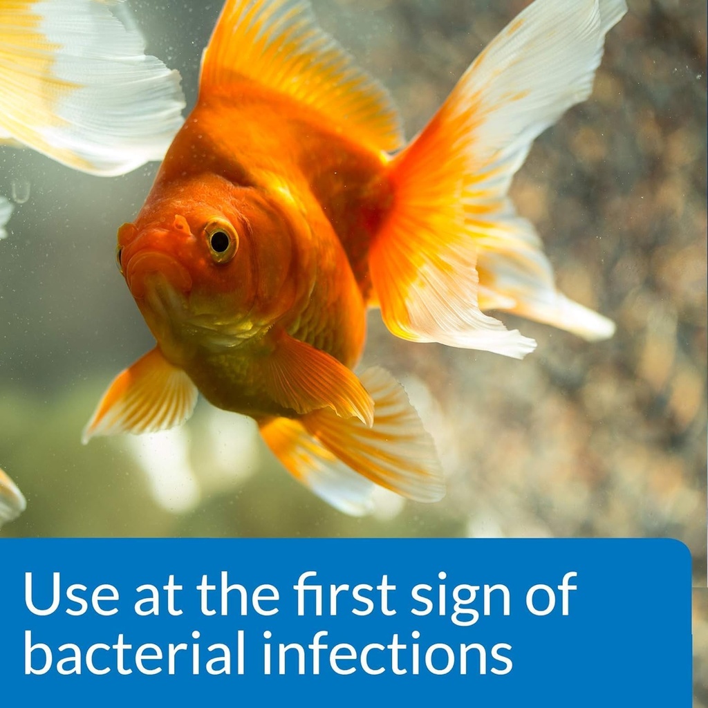 api-2-pack-of-fin-and-body-cure-freshwat-4.jpg
