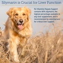 rx-vitamins-liquid-hepato---liquid-liver-5.jpg