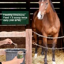 insulin-resistance-supplement-for-horses-4.jpg