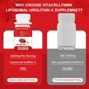 liposomal-urolithin-a-supplement-2000mg--3.jpg