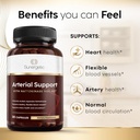sunergetic-premium-nattokinase-supplemen-4.jpg