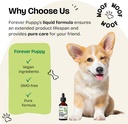 forever-puppy-liver-support-drops-for-do-6.jpg