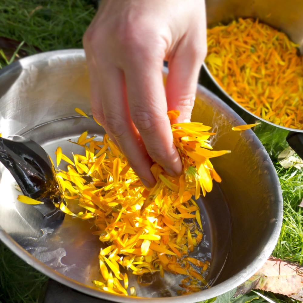 ssf-organics-calendula-skin-repair-salve-3.jpg