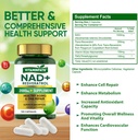 nad-supplement-2000-mg---120-capsules-tr-5.jpg