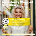 iron-supplement-chews-with-vitamin-c-for-5.jpg