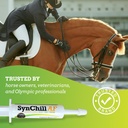 synchill-af-calming-gel-for-nervous-hors-6.jpg
