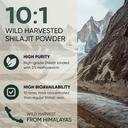 jungle-powders-bilberry-extract-for-eyes-5.jpg