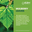 e2h-chlorophyll-liquid-drops---energy-bo-3.jpg