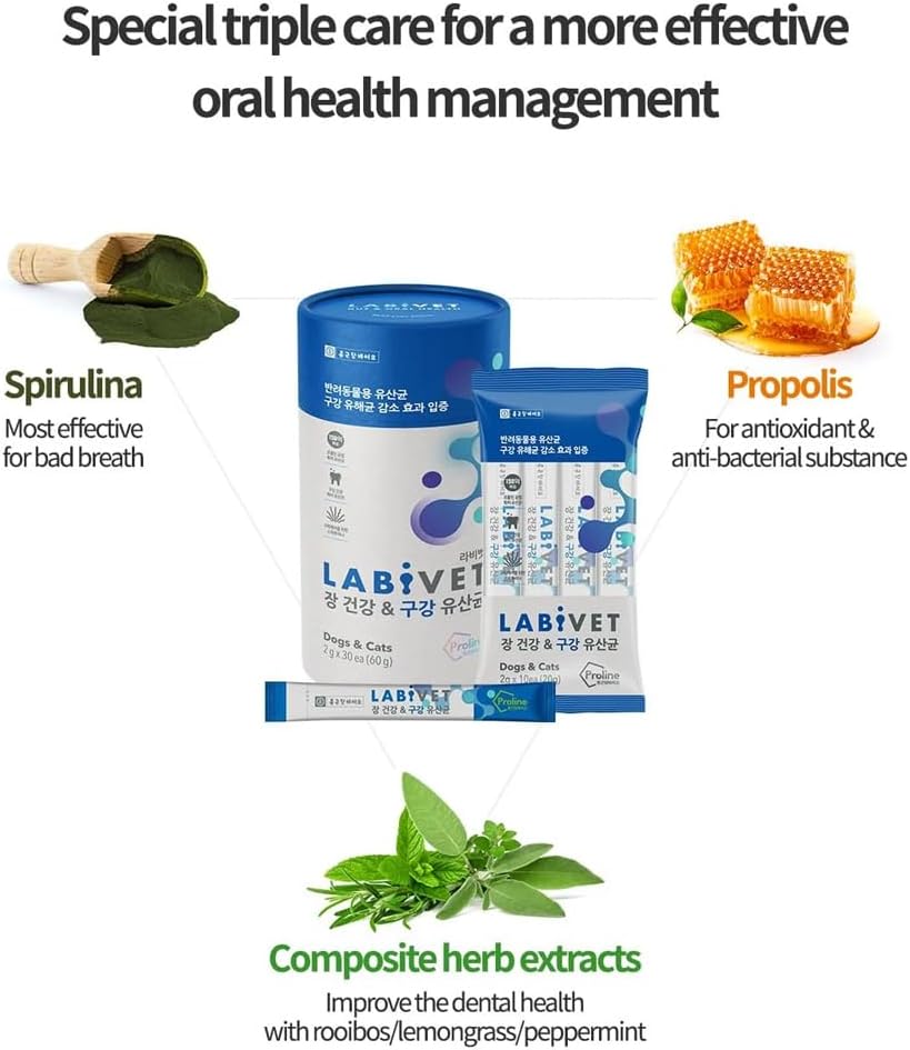 probiotics-for-dogs-and-cats-gut-health--2.jpg