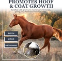 equerrys-combined-rx-40-feedings-for-100-3.jpg