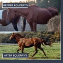 equerrys-combined-rx-40-feedings-for-100-6.jpg