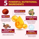 5-in-1-coq10-400-mg-pqq-20-mg-gummies-2.jpg