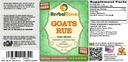 goats-rue-galega-officinalis-glycerite-o-2.jpg