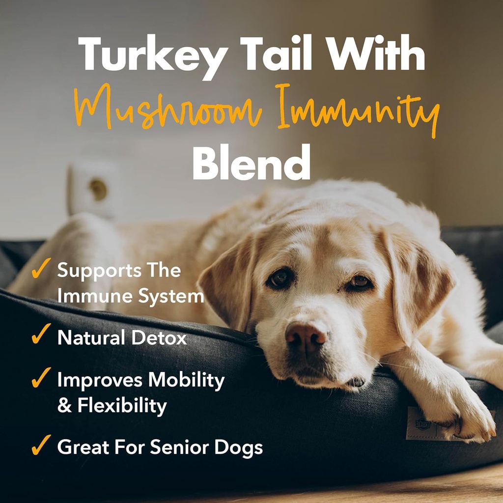 iheartdogs-turkey-tail-mushroom-for-dogs-2.jpg