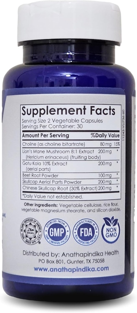 brain-health-nootropic-supplement-lions--2.jpg