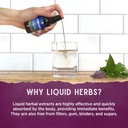 wishgarden-herbs-kick-ass-sinus---herbal-5.jpg