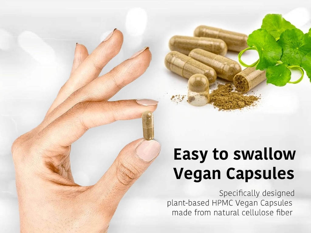 dr-wakdes-turmeric-capsules-curcuma-long-6.jpg
