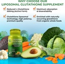 supplements-studio-antioxidant-cellular--6.jpg
