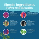 mens-multivitamins-gummies-with-superfoo-5.jpg