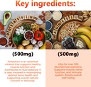 invita-potassium-magnesium-supplement-18-3.jpg