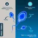 youre-natural-male-fertility-vitamins-op-4.jpg