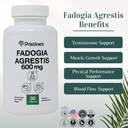fadogia-agrestis-600mg-30-day-supply-spo-2.jpg