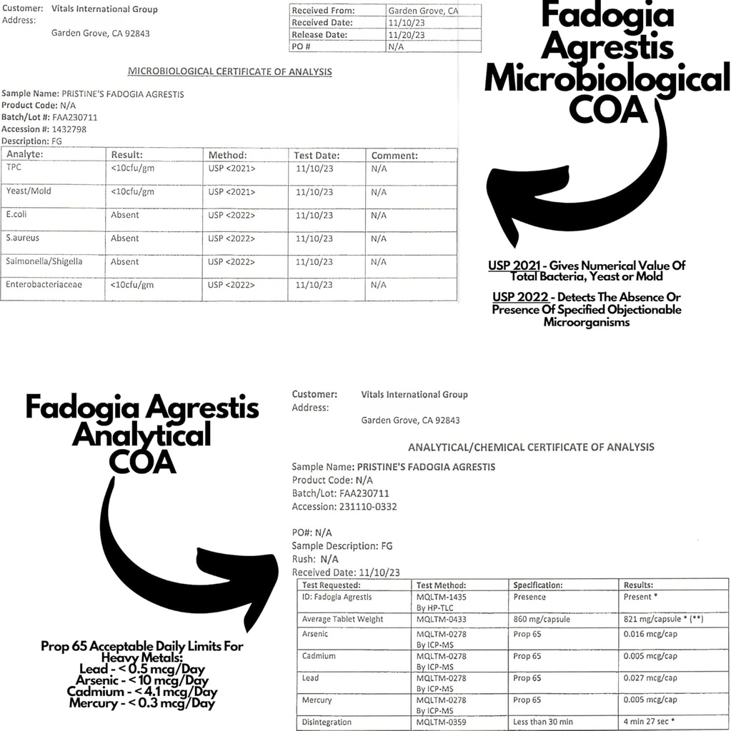 fadogia-agrestis-600mg-30-day-supply-spo-6.jpg