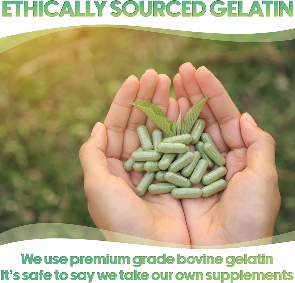 xprs-nutra-size-3-empty-capsules---500-e-6.jpg
