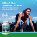 creatine-monohydrate-capsules-for-muscle-3.jpg