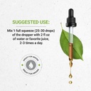 secrets-of-the-tribe-cramp-bark-usda-org-3.jpg