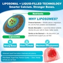 calcium-supplements-for-women-men---lipo-3.jpg