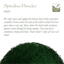 spirulina-powder-algae---sprulina-powder-6.jpg