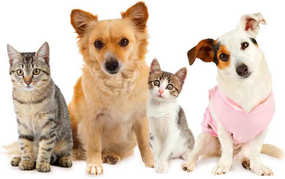 antioxidant-for-cats---ultra-vitamins-fo-3.jpg