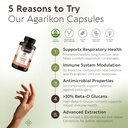 longevity-botanicals-agarikon-mushroom-e-3.jpg