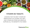naturesplus-vitamin-b2-riboflavin---250--3.jpg