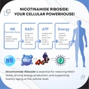 liposomal-nr-nicotinamide-riboside-with--5.jpg