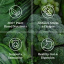 natures-sunshine-power-greens---wholefoo-5.jpg