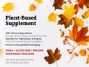 dr-wakdes-bilva-fruit-powder-bael-fruit--6.jpg