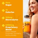 bala-turmeric-enzyme-powder-packets-suga-2.jpg