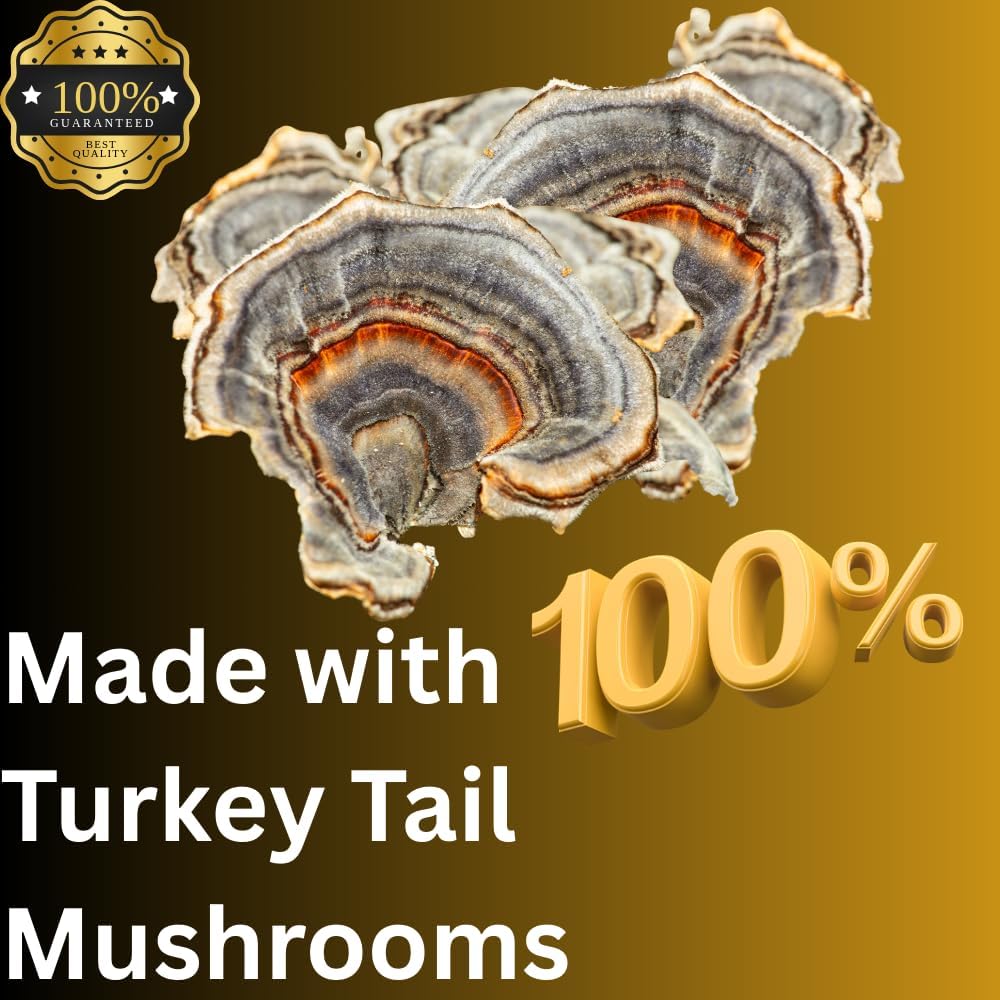 turkey-tail-mushroom-liquid-extract-tinc-5.jpg