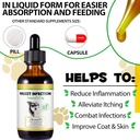 dog-yeast-infection-treatment-natural-ye-4.jpg