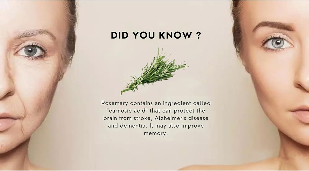 oxidative-stress-relief-formula-by-waybe-2.jpg