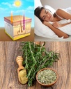 oxidative-stress-relief-formula-by-waybe-5.jpg