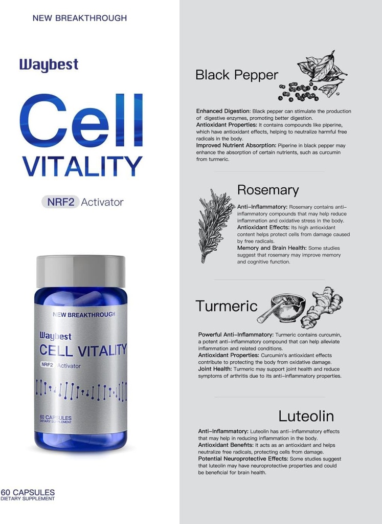 oxidative-stress-relief-formula-by-waybe-6.jpg