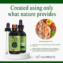 go-nutrients-vitamin-b12-sublingual-meth-4.jpg