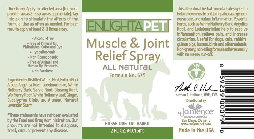 jadience-dog-cat-horse-sore-muscle-pain--2.jpg