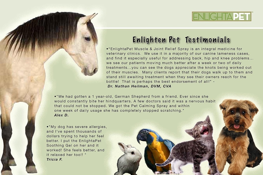 jadience-dog-cat-horse-sore-muscle-pain--4.jpg