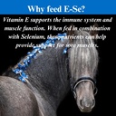 su-per-e-se-horses-antioxidant-supplemen-4.jpg